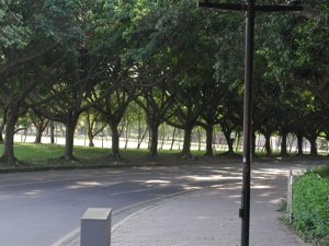 2004-10-06 15-46-02   53.JPG